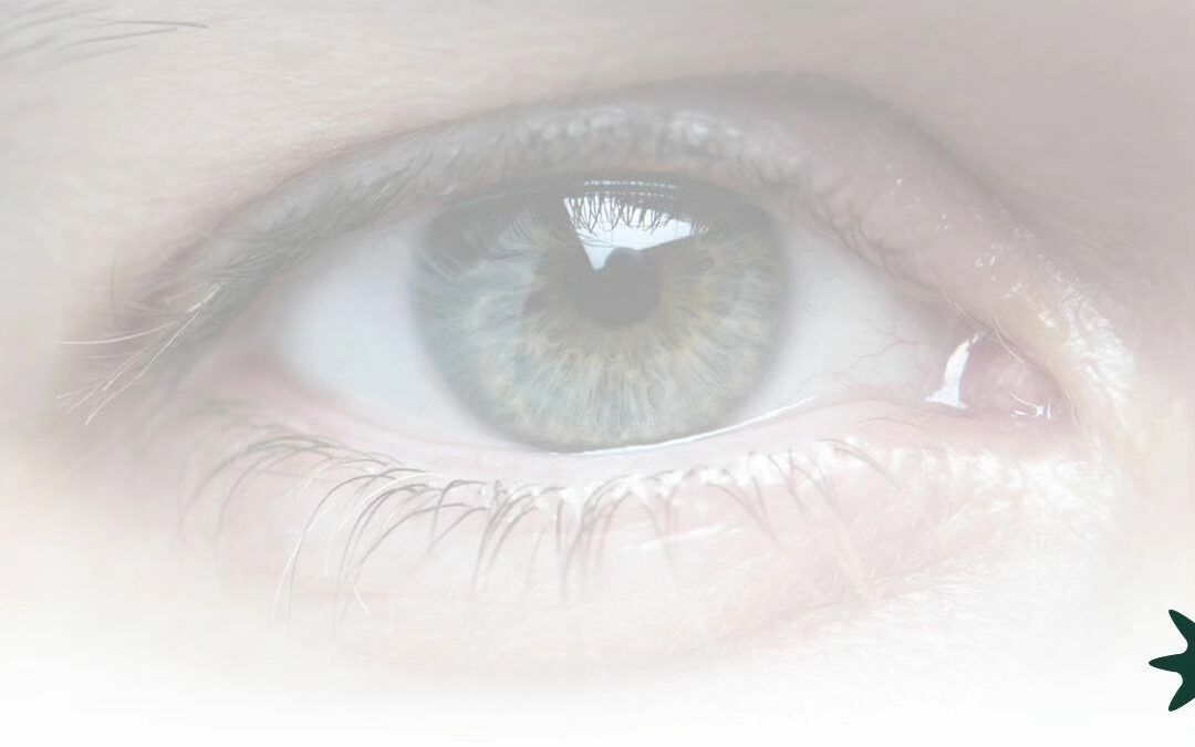 Il 5×1000 torna a contare: assegnati 525 milioni di euro.